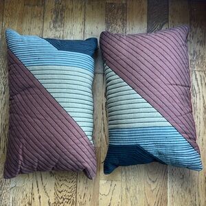 Pair of CB2 Pata Pillows